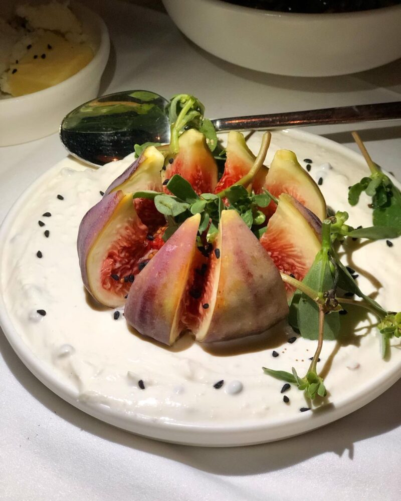 Kurul Bitez Bodrum İncir