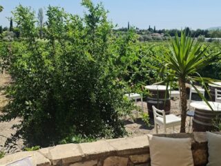 Urlice Vineyards Dışarısı