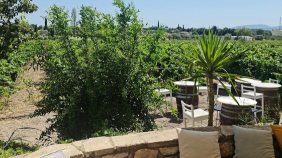 Urlice Vineyards Dışarısı