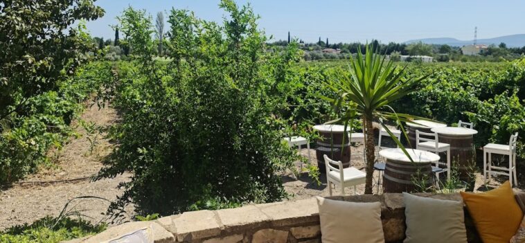 Urlice Vineyards Dışarısı