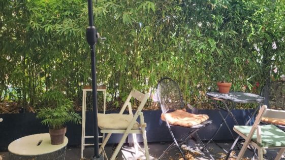 Chado Tea Nişantaşı Topağacı