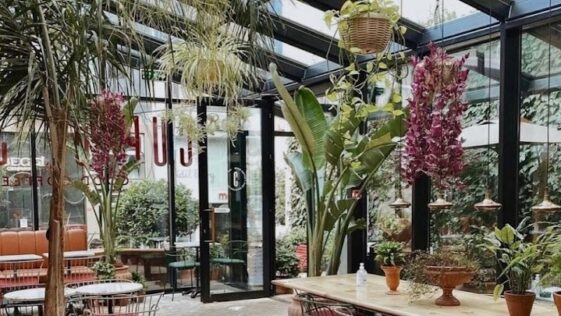 Cup of Joy Nişantaşı İçerisi