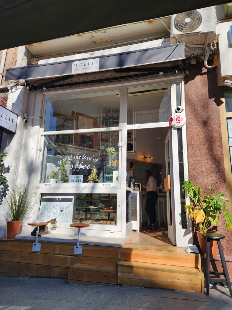Hollie Cafe Moda Girişi