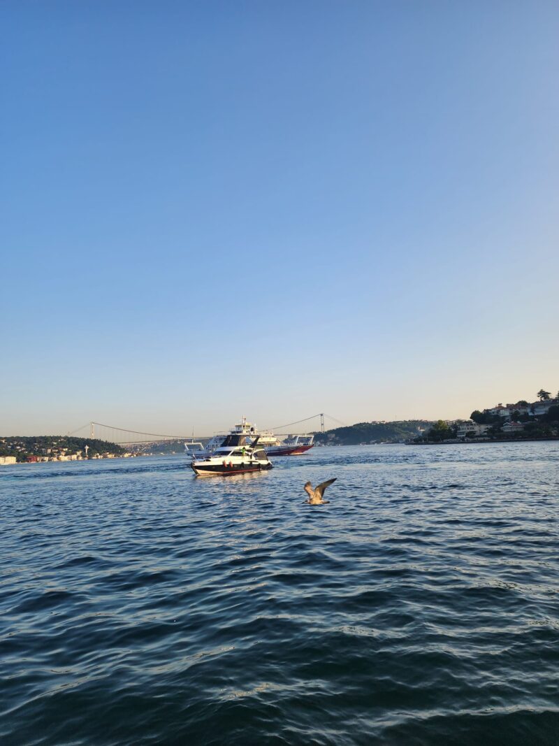 İskele Cafe İzmir Lokmacısı İstinye Boğaz Manzarası