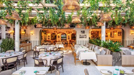 Serafina Akmerkez İçerisi