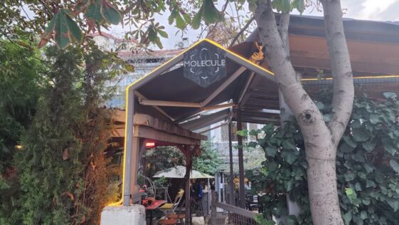 Molecule Roastery Design Girişi