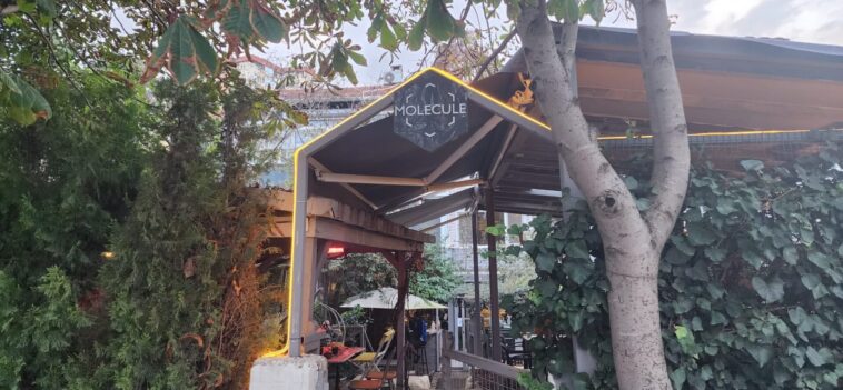 Molecule Roastery Design Girişi