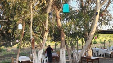 Saklı Bahçe Restaurant Tarsus Ağaçların Altı 1