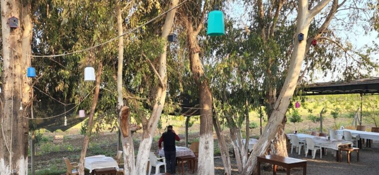 Saklı Bahçe Restaurant Tarsus Ağaçların Altı 1