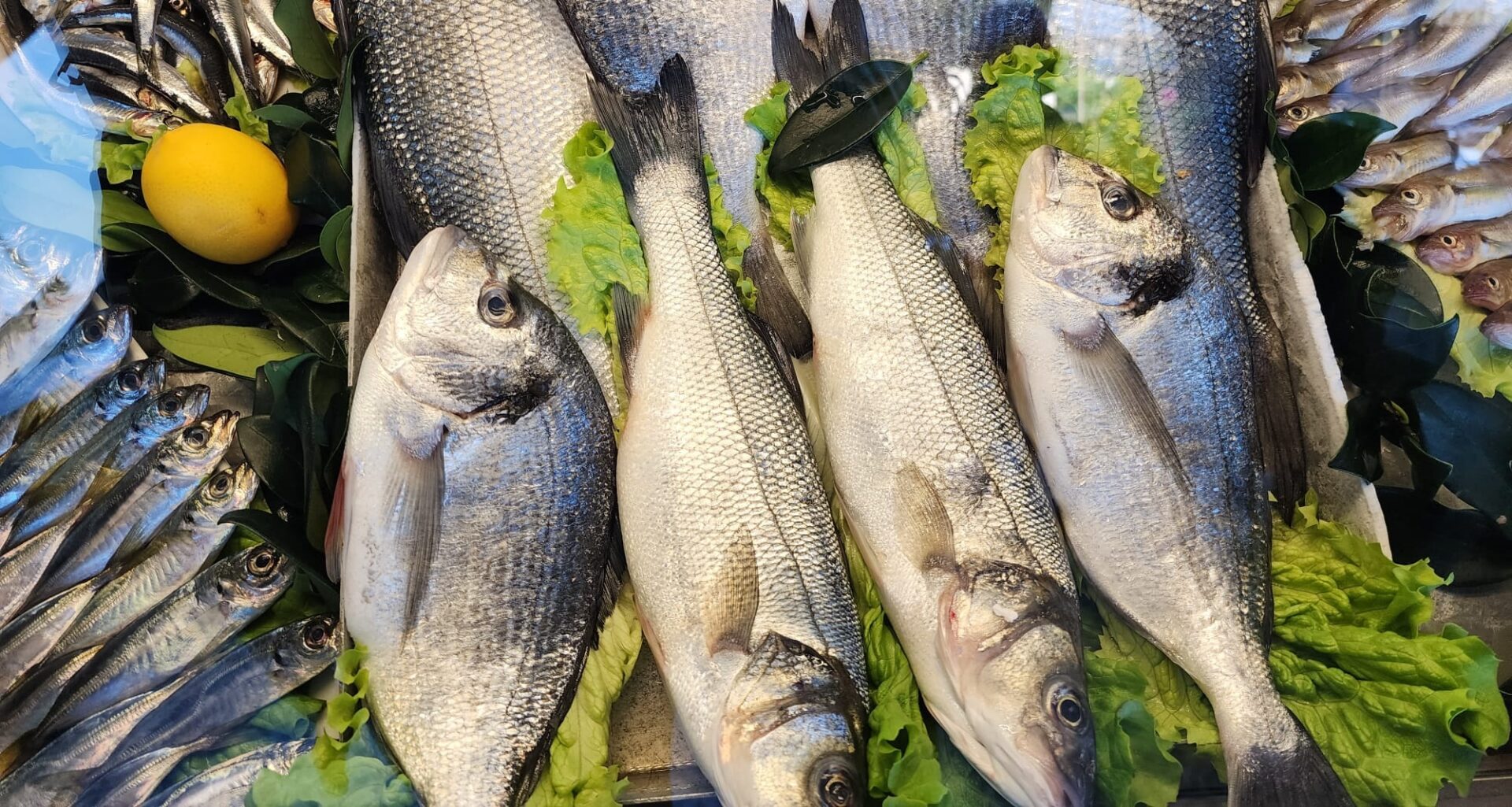 Kalyon Restoran Riva Balıklar