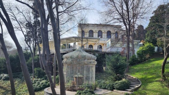 Yıldız Parkı Korusu