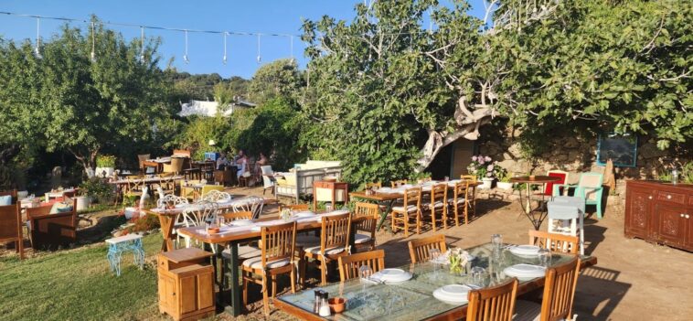 Limon Gümüşlük Bahçe Bölümü 1