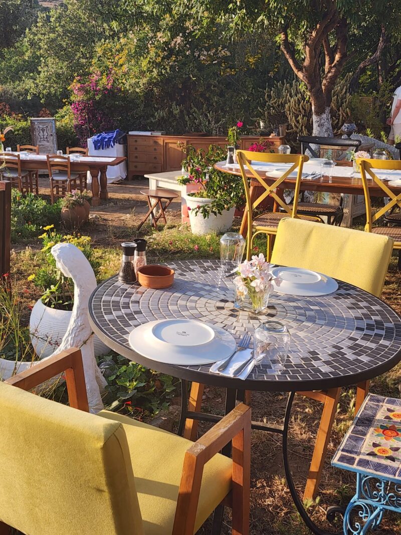 Limon Gümüşlük Bahçe Bölümü 4