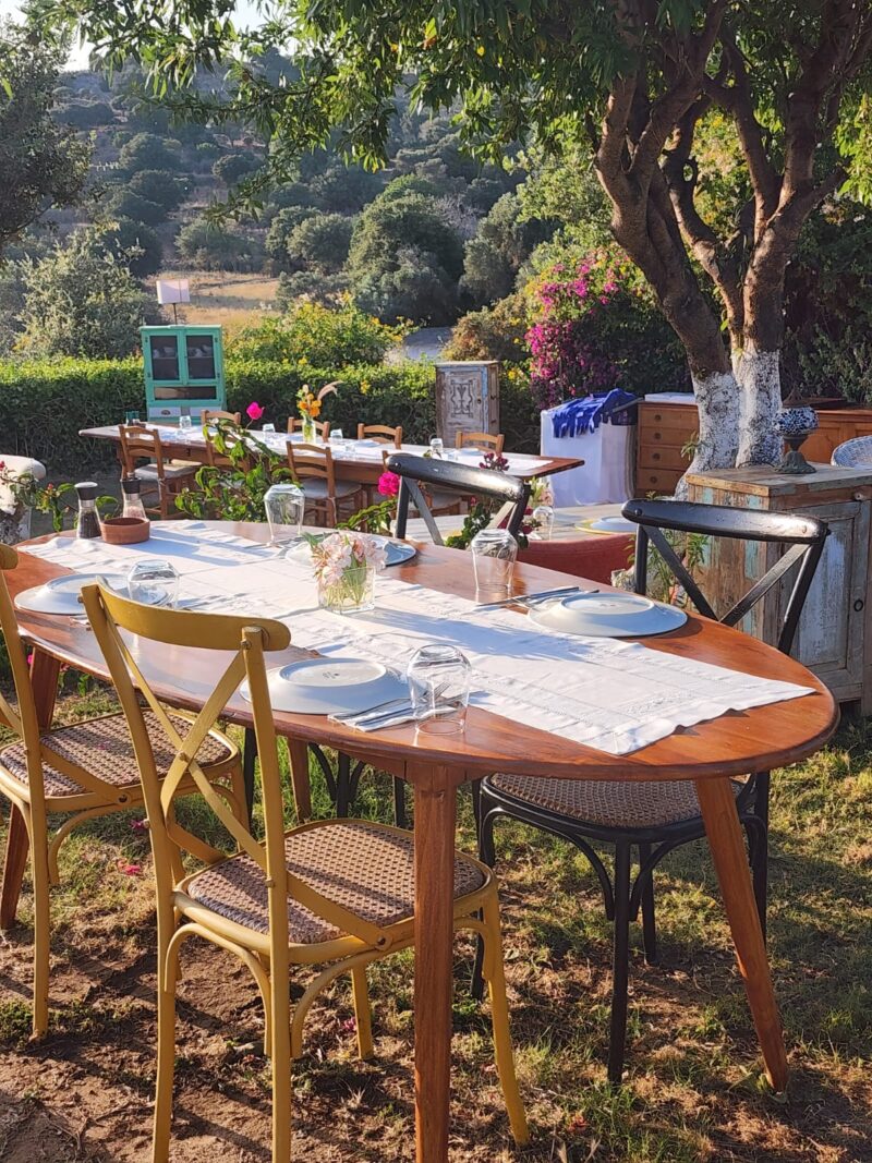 Limon Gümüşlük Bahçe Bölümü 5