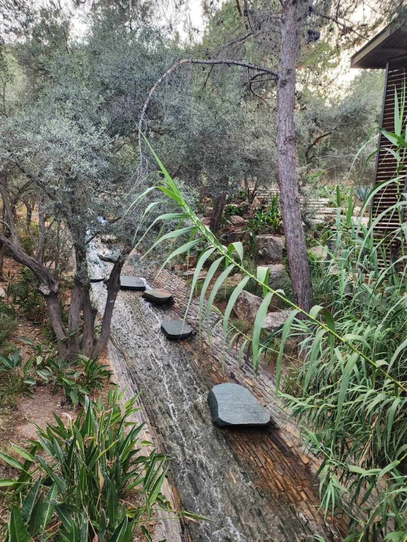 Salon Cuma Bodrum Demirbükü Girişi