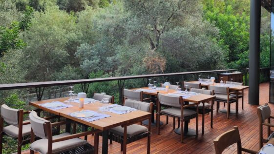 Salon Cuma Bodrum Demirbükü Yan Bahçe