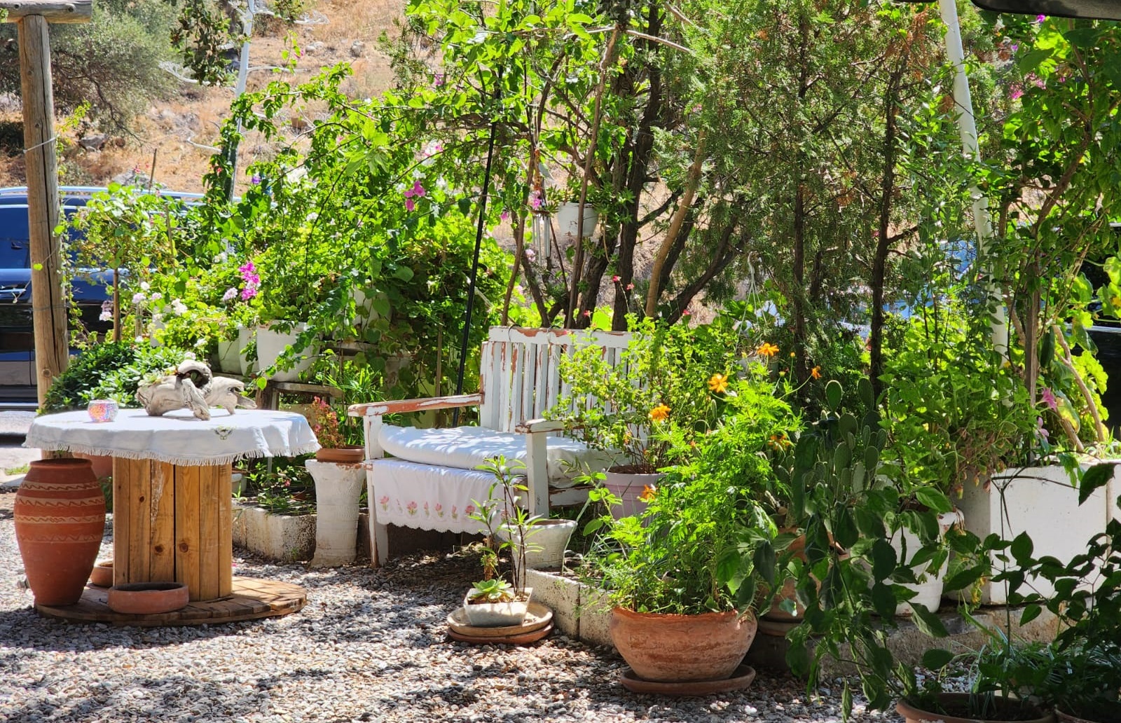 Sevalin Yeri Bodrum Bahçe Bölümü 1