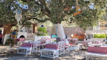 Sevalin Yeri Bodrum Giriş Bahçe