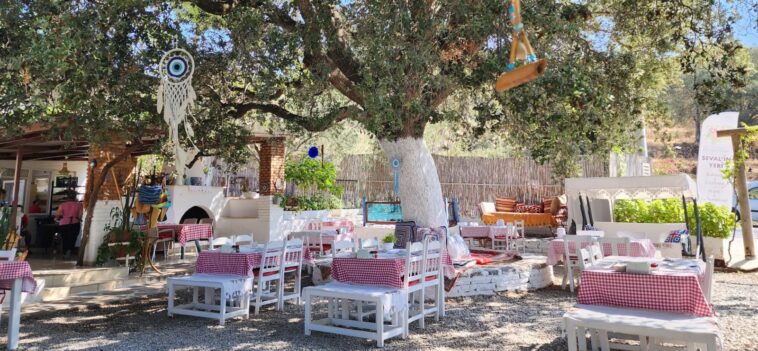 Sevalin Yeri Bodrum Giriş Bahçe