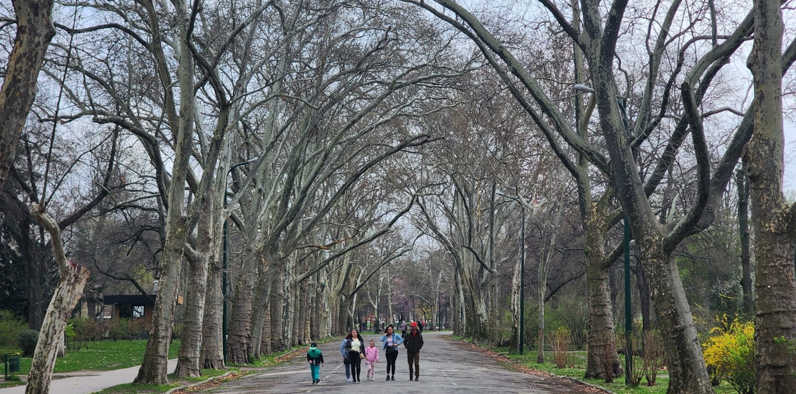 Budapeşte Şehir Parkı 1