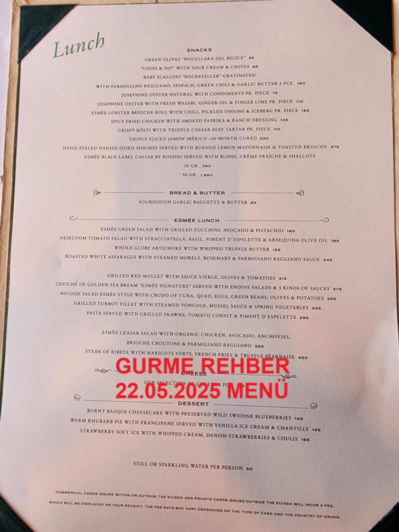 Esmee Kopenhag 2025 Mayıs Öğlen Menüsü