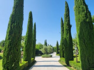 Borgo Santo Pietro Toskana Otel Girişindeki Ağaçlar