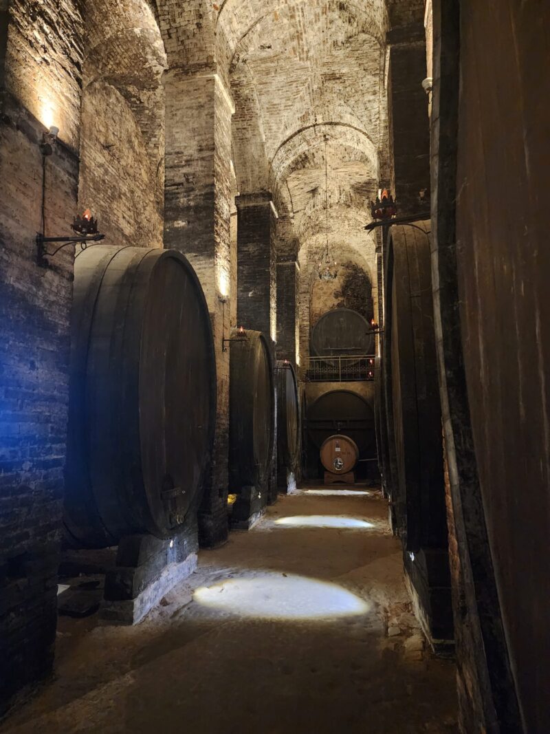 De' Ricci Cantine Storiche in Montepulciano İtalya Şarap Mahseni 1