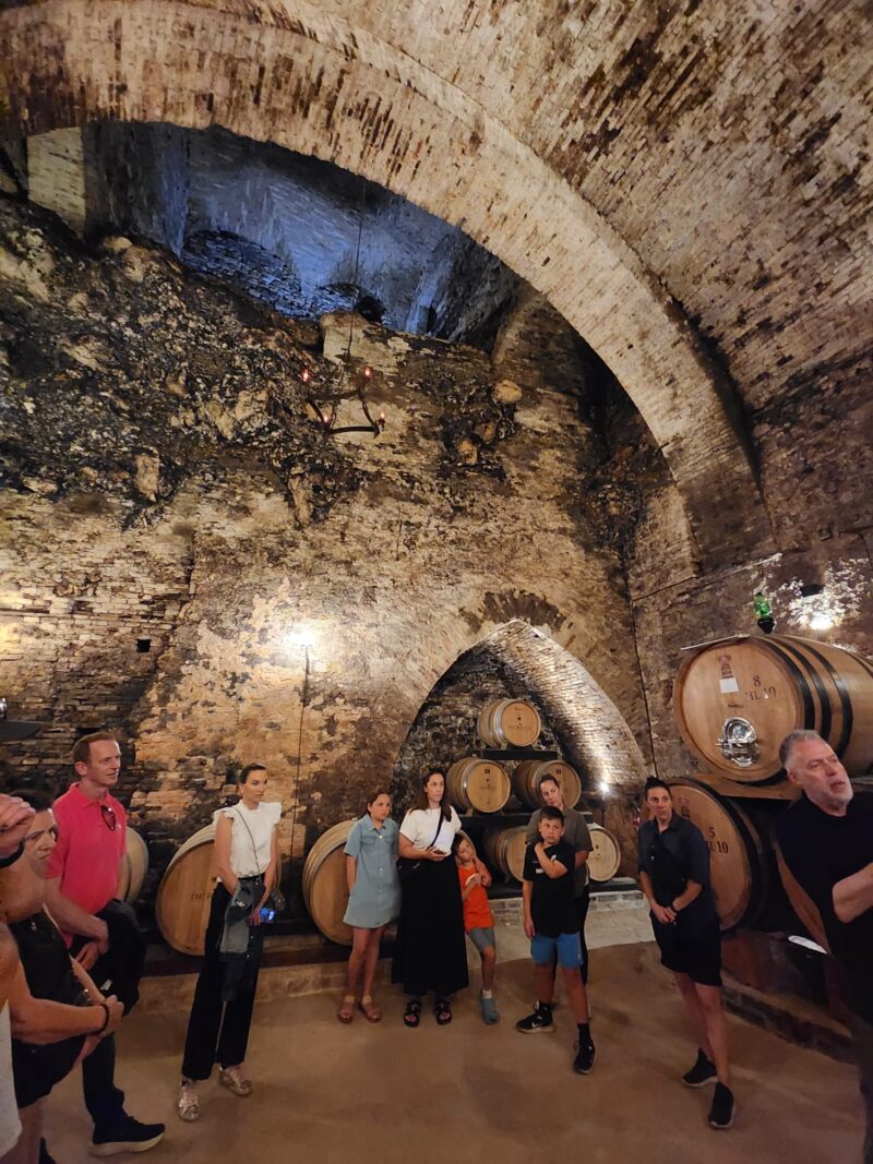 De' Ricci Cantine Storiche in Montepulciano İtalya Şarap Mahseni 2