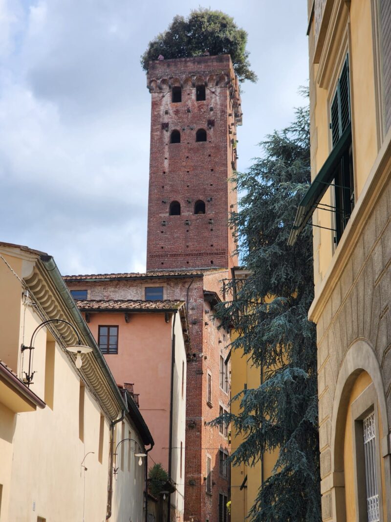 Guinigi Tower Lucca