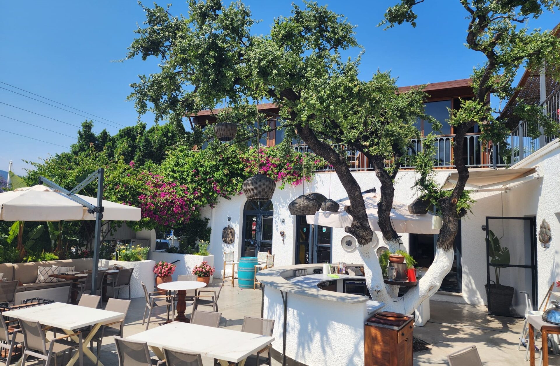 Tike Bodrum Bahçe Bölümü 2