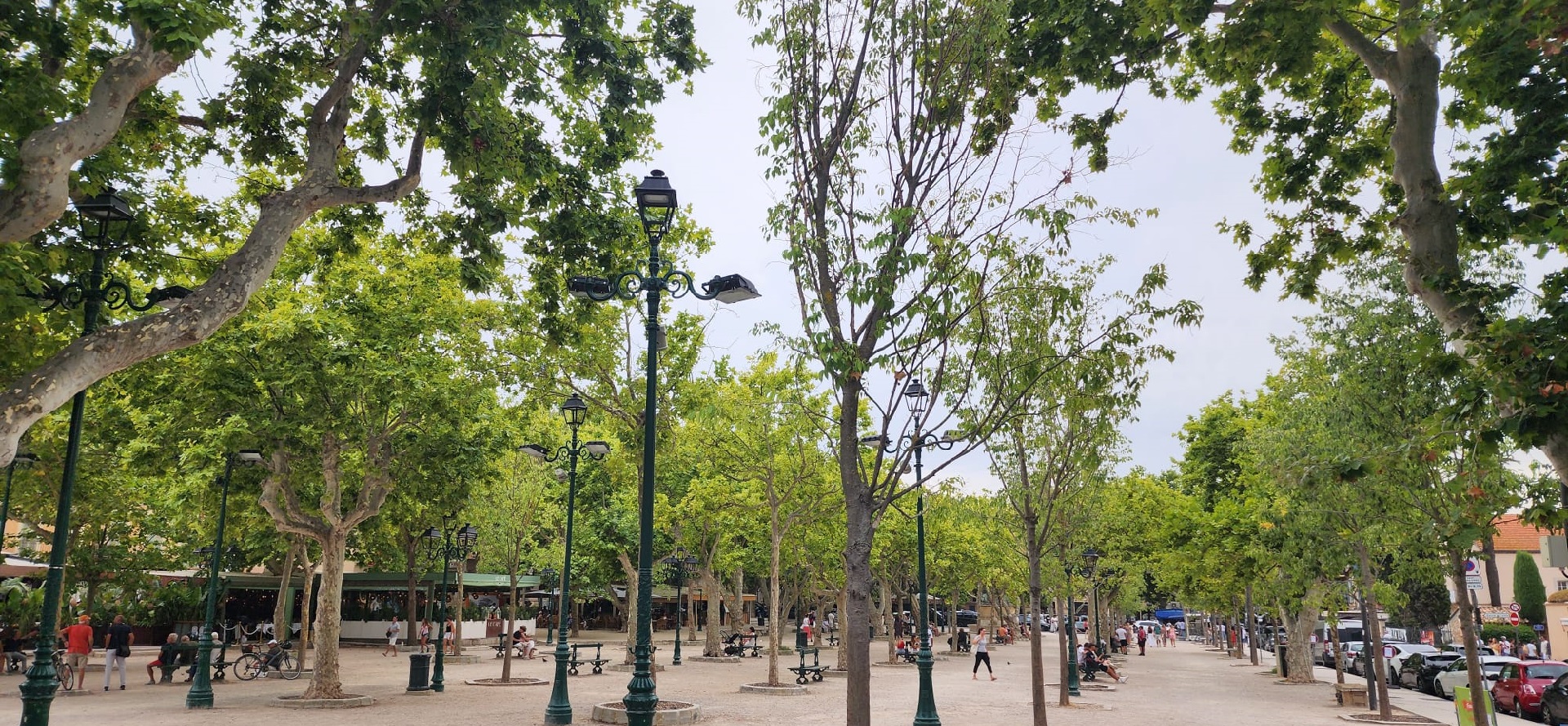 Place des Lices Saint Tropez