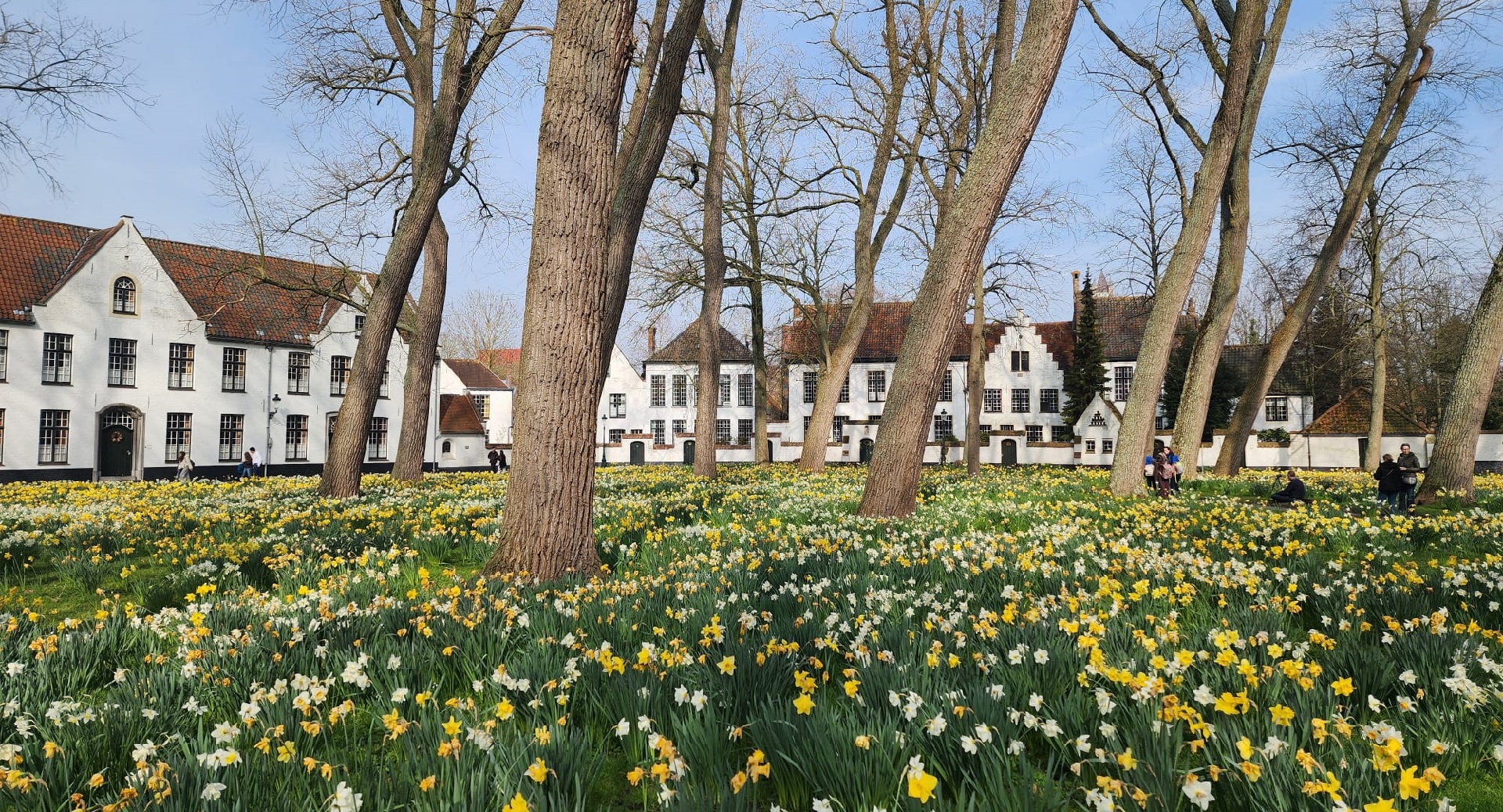 Brugge Beguinage Ten Wijngaerde