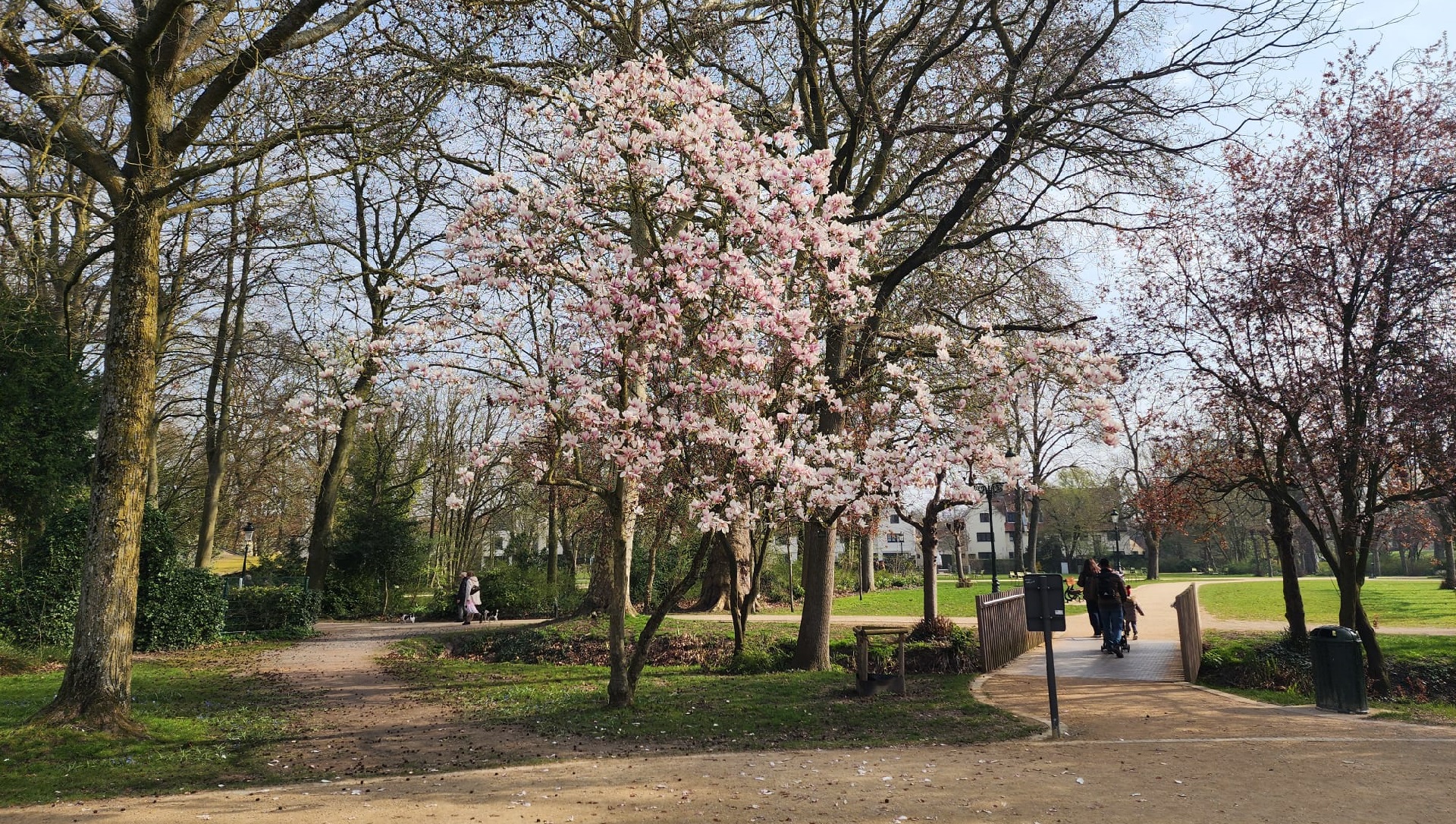 Brugge Minnewater Park
