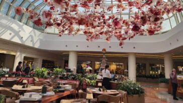 Cafe Di Dolce İstinye Park Avm Girişi