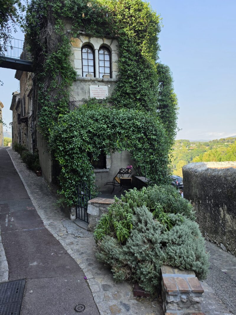 Saint Paul de Vence Yeşil Çiçekli Bina